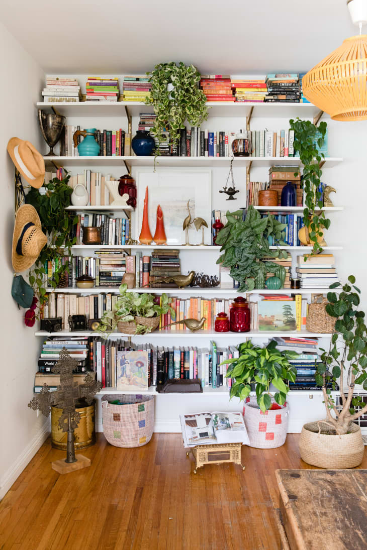 How To Style A Bookshelf With Plants Apartment Therapy